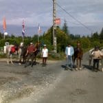 hevaux darqui├й 1