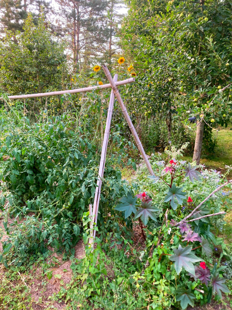 04 Camping Potager