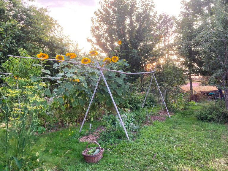 07 Camping Potager